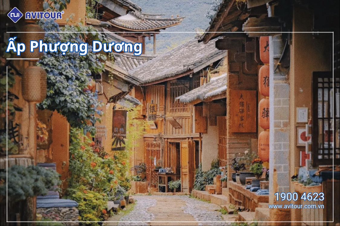 Dạo quanh Trung Quốc | HÀ NỘI - ĐẠI LÝ - LỆ GIANG - SHANGRILA - HÀ NỘI