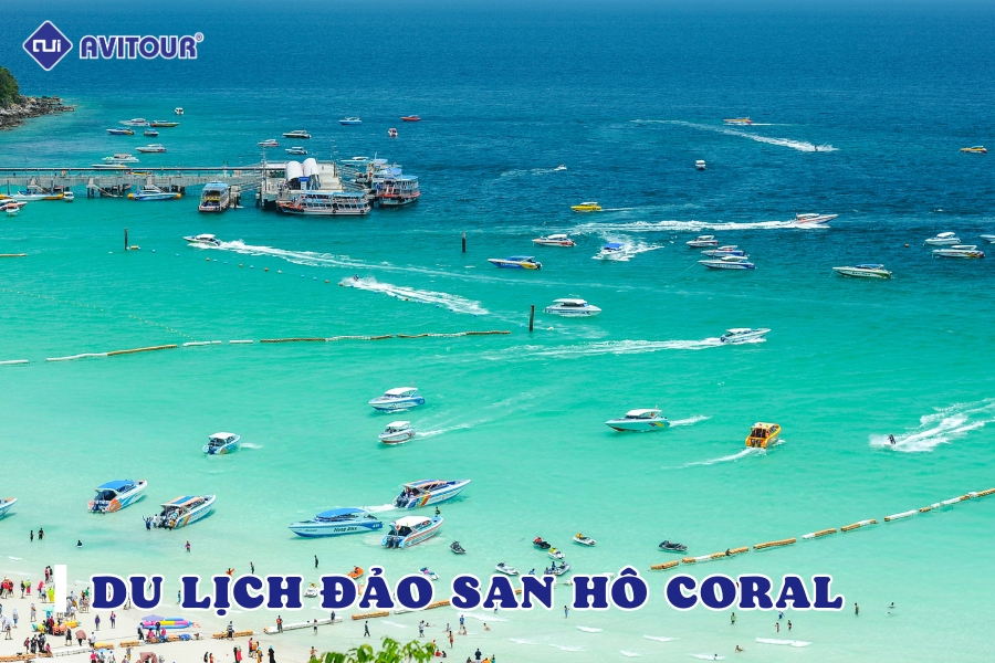 Đảo San Hô Coral Pattaya Thái Lan hứa hẹn có gì cho bạn?