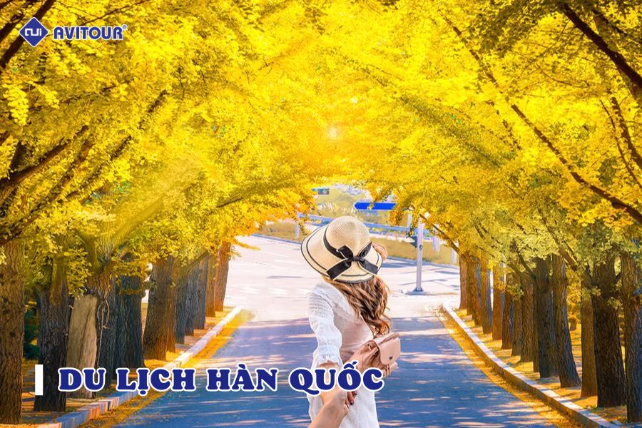 Đi du lịch Hàn Quốc cần những gì? Chuẩn bị như thế nào