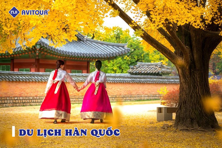 Đi du lịch Hàn Quốc: Tất tần tật kinh nghiệm cho một chuyến đi hoàn hảo