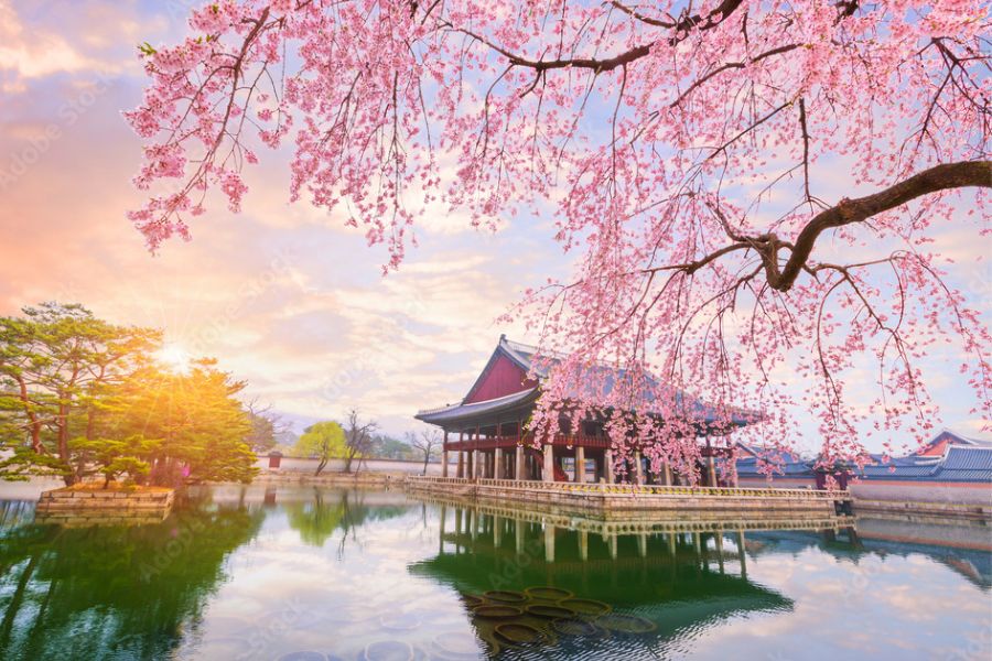 Đi du lịch Hàn Quốc: Tất tần tật kinh nghiệm cho một chuyến đi hoàn hảo