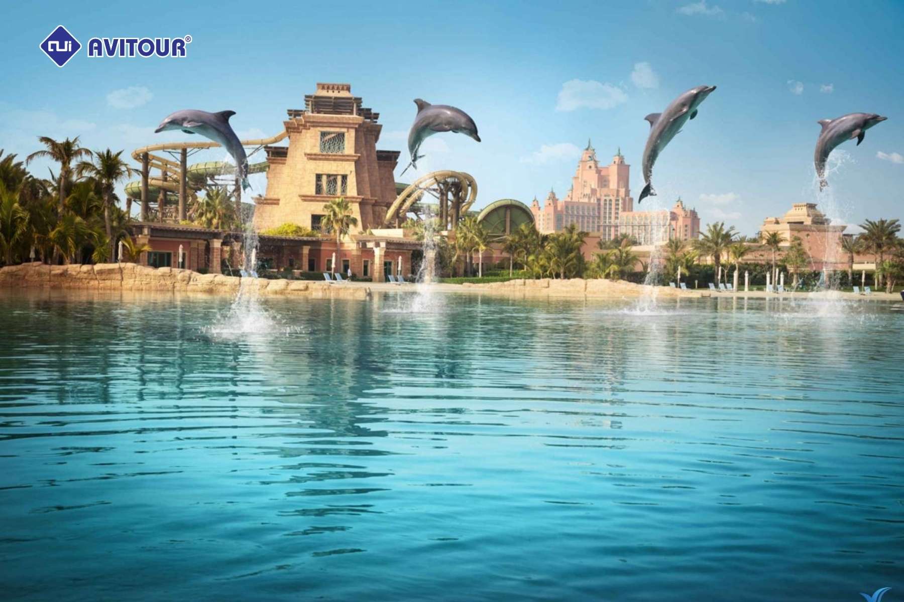 Thăm quan Palm Jumeirah: Hành trình đến biểu tượng xa hoa giữa lòng biển