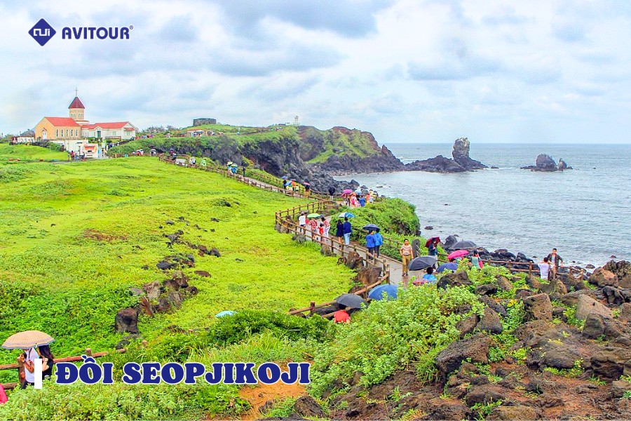 Đồi Seopjikoji: Tận Hưởng Làn Gió Triệu Đô Trên Đảo Jeju