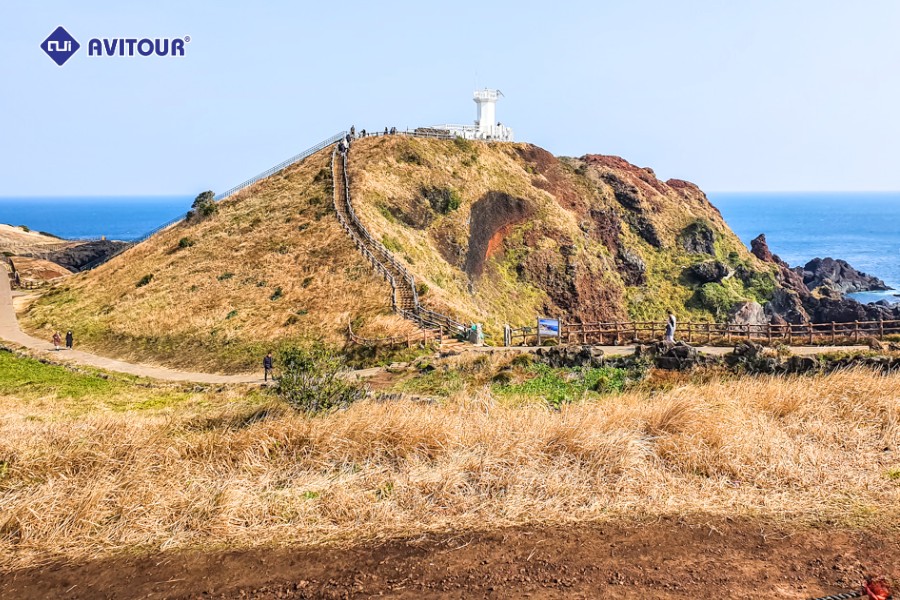 Đồi Seopjikoji: Tận Hưởng Làn Gió Triệu Đô Trên Đảo Jeju