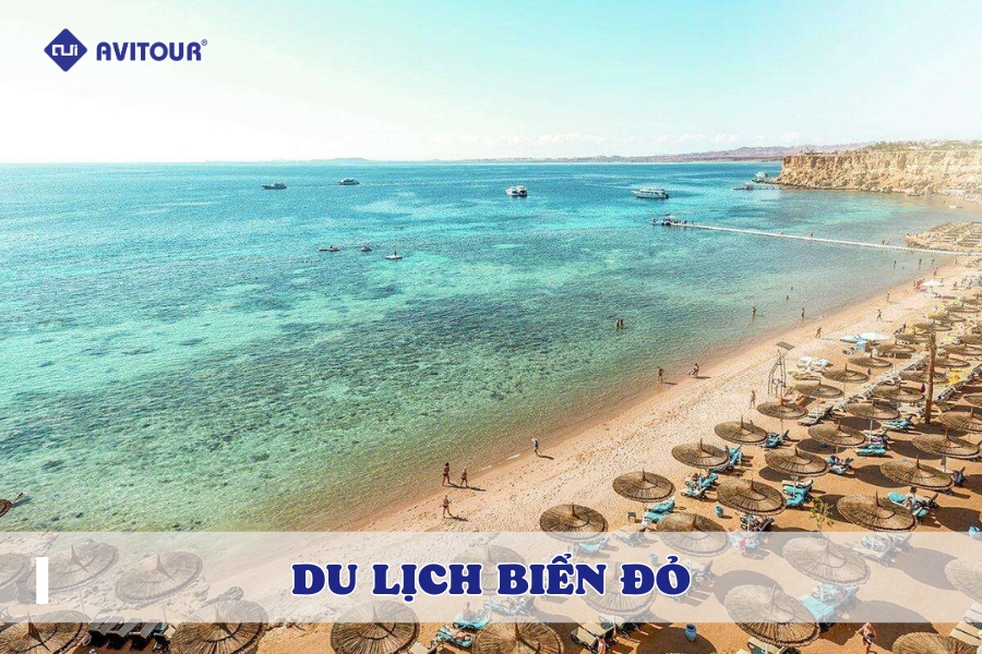 Du Lịch Biển Đỏ: Lạc Vào Thiên Đường Dưới Lòng Đại Dương