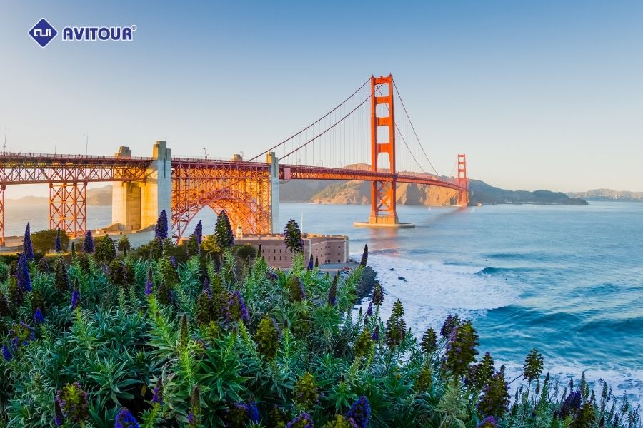 Du lịch cầu Cổng Vàng: Tuyệt tác vượt thời gian của San Francisco