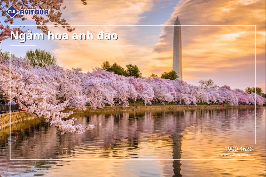 Du lịch Đông Tây Hoa Kỳ 2024: New York – Philadelphia – Delaware - Washington Dc – Las Vegas – Grand Canyon (Đại Vực) – Los Angeles – Universal Studio – San Diego – Solvang – San Jose – San Francisco