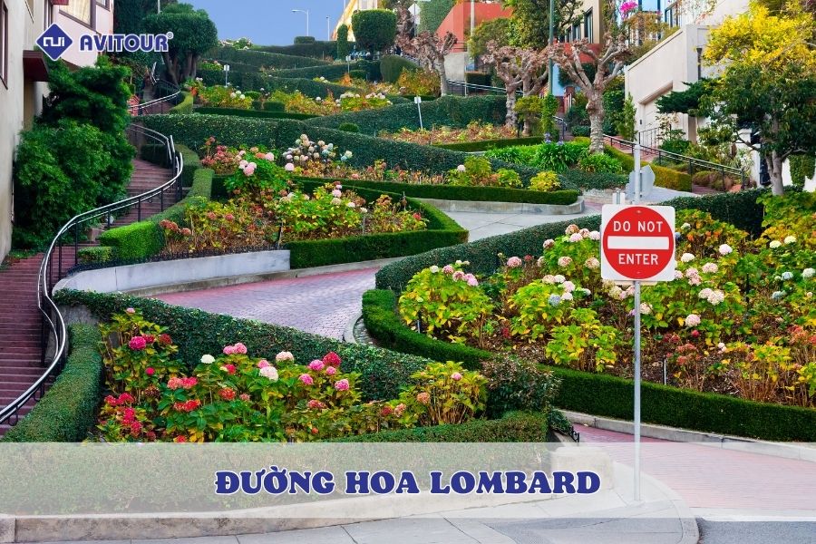 Du lịch đường hoa Lombard và con dốc quanh co đẹp như tranh vẽ