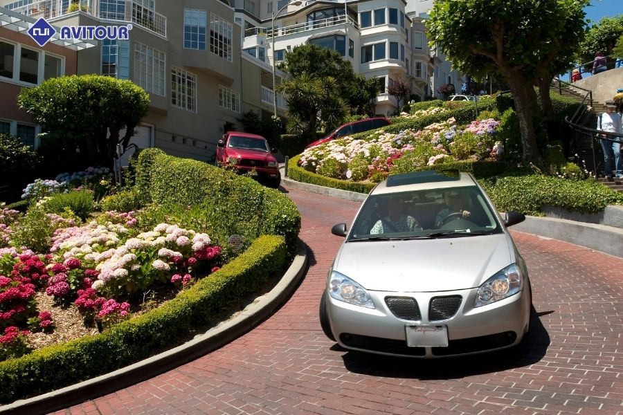 Du lịch đường hoa Lombard và con dốc quanh co đẹp như tranh vẽ