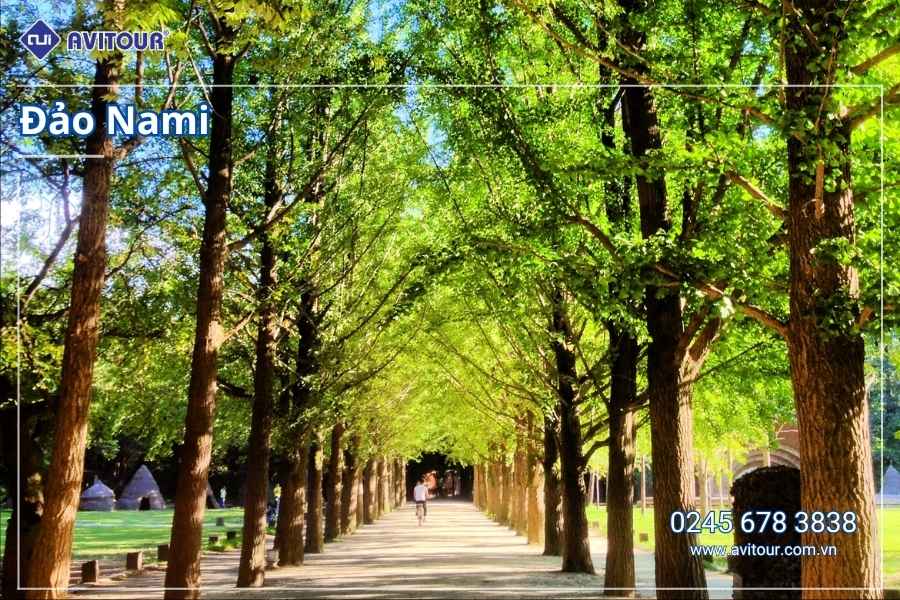 Du lịch Hàn Quốc: Tour Busan - Gyeongju - Seoul - Đảo Nami - Tàu Điện Ven Biển Haeundae - Cầu Kính Oryukdo - Làng Văn Hóa Huinnyeoul từ Hà Nội 2026