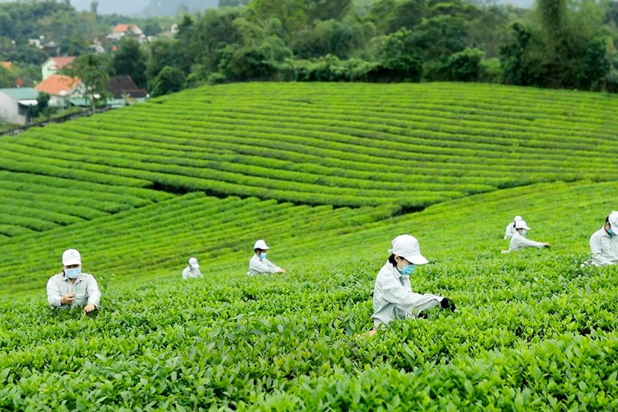 Du lịch Hàng Châu có gì? Gợi ý top những địa điểm vui chơi hot nhất 2025