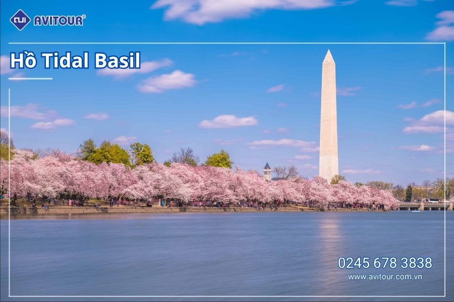 Du lịch Hoa Kỳ (Mùa Hoa Anh Đào): Tour New York - Philadelphia - Delaware - Washington DC - Las Vegas - Grand Canyon - Los Angeles - San Diego - San Jose - San Francisco từ Hà Nội 2026