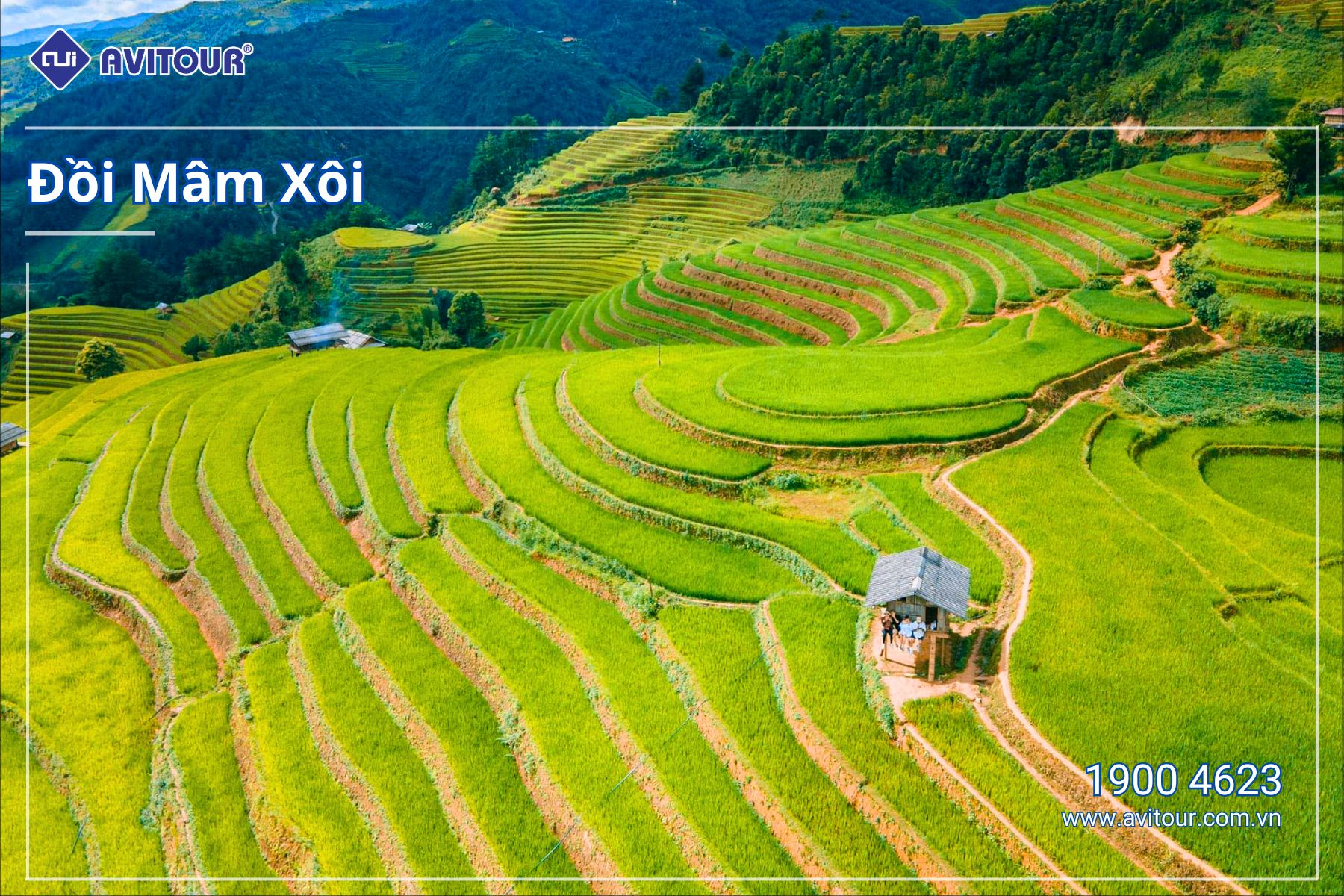 DU LỊCH MÙ CANG CHẢI MÙA LÚA CHÍN | NGHĨA LỘ - TÚ LỆ - MÙ CANG CHẢI