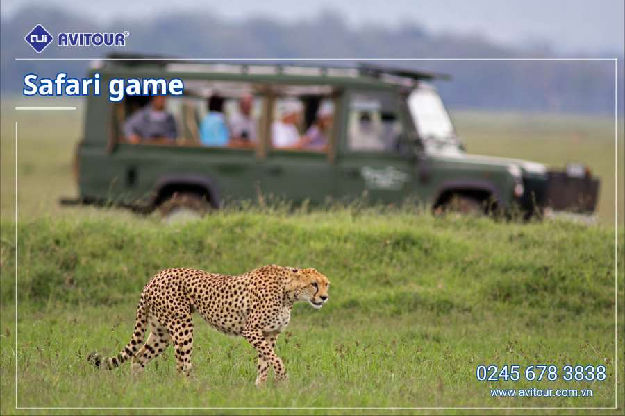 Du lịch Nam Phi lễ 2/9: Tour Johannesburg - Pretoria - Safari Game Lodge - Mũi Hảo Vọng - Núi Bàn - Cape Town từ Hà Nội 2025