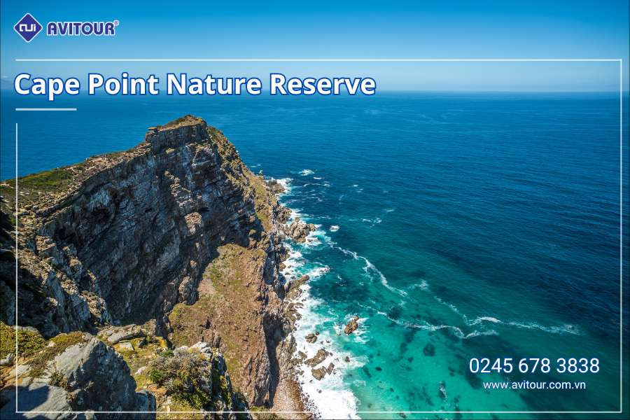 Du lịch Nam Phi lễ 2/9: Tour Johannesburg - Pretoria - Safari Game Lodge - Mũi Hảo Vọng - Núi Bàn - Cape Town từ Hà Nội 2025