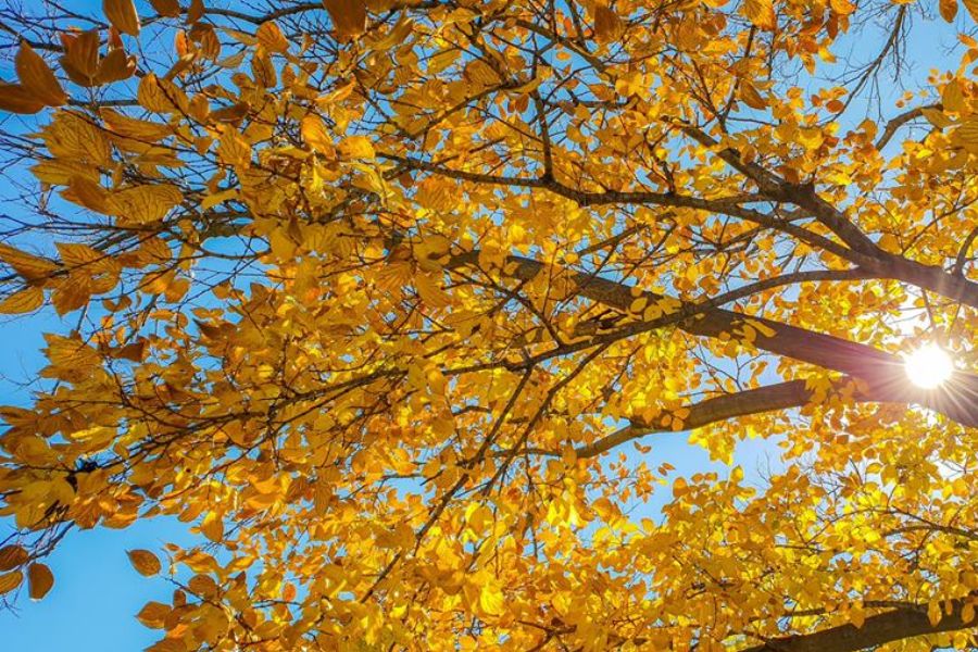 Du lịch Nam Phi mùa nào đẹp nhất để trải nghiệm