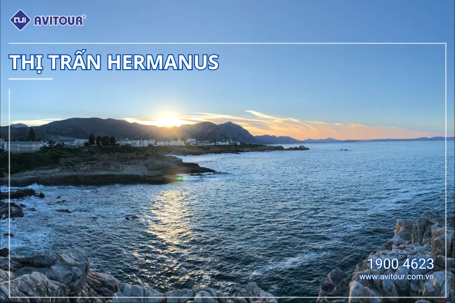 Du Lịch Nam Phi Mùa Phượng Tím: Johannesburg - Thủ Đô Pretoria - Safari Game Lodge - Cape Town - Thị Trấn Hermanus