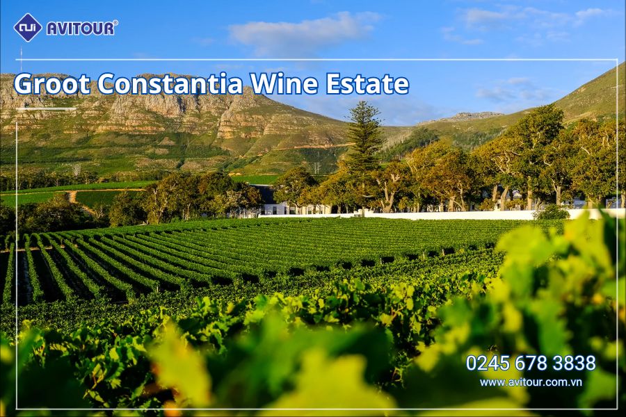 Du lịch Nam Phi: Tour Johannesburg - Pretoria - Safari Game Lodge - Mũi Hảo Vọng - Núi Bàn - Cape Town từ Hà Nội 2025