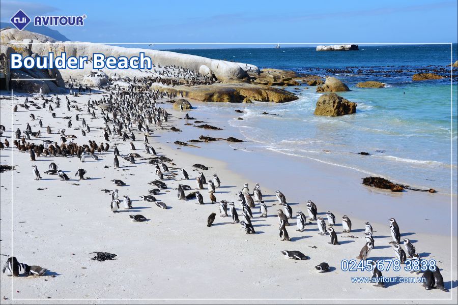 Du lịch Nam Phi: Tour Johannesburg - Pretoria - Safari Game Lodge - Mũi Hảo Vọng - Núi Bàn - Cape Town từ Hà Nội 2025