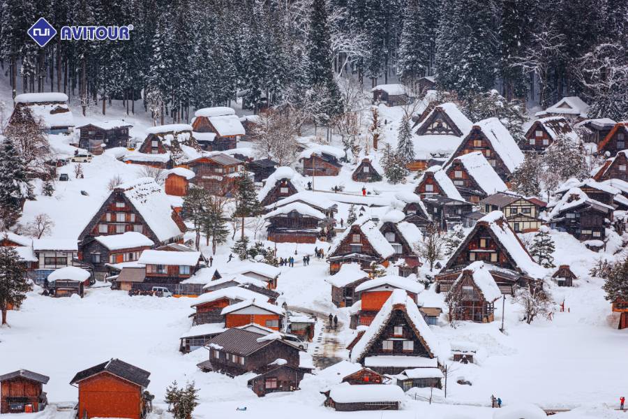 Du lịch Nhật Bản bốn mùa: Nắm trọn vẻ đẹp của xứ Phù Tang