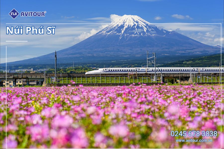 Du lịch Nhật Bản lễ 2/9: Tour Osaka - Kobe - Kyoto - Nagoya - Phú Sĩ - Tokyo từ Hà Nội 2025