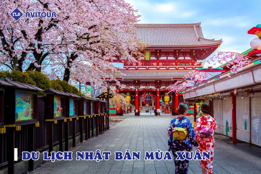 Du lịch Nhật Bản mùa xuân: Những điểm đến tuyệt vời