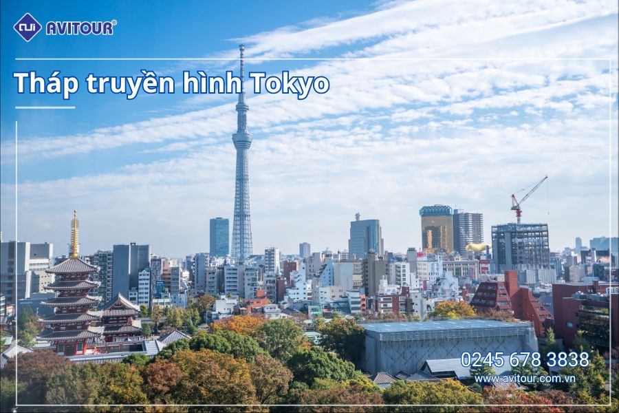 Du lịch Nhật Bản: Tour Osaka - Kobe - Kyoto - Nagoya - Phú Sĩ - Tokyo từ Hà Nội 2025