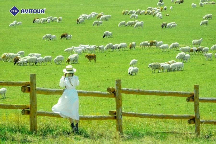 Du lịch Nội Mông: Miền thảo nguyên bất tận và đầy mê hoặc