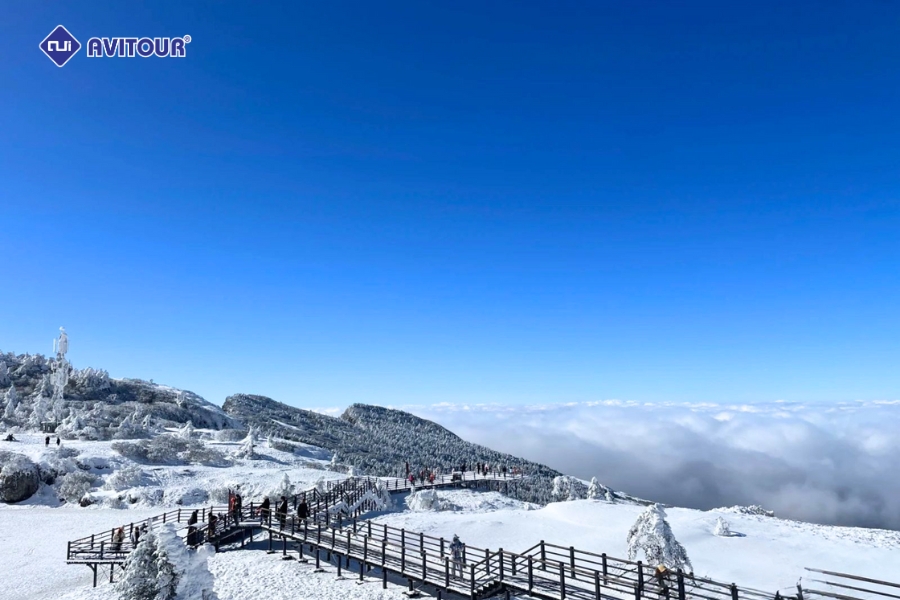 Du lịch núi Kiệu Tử: Điểm dừng chân thú vị cho mùa nghỉ dưỡng