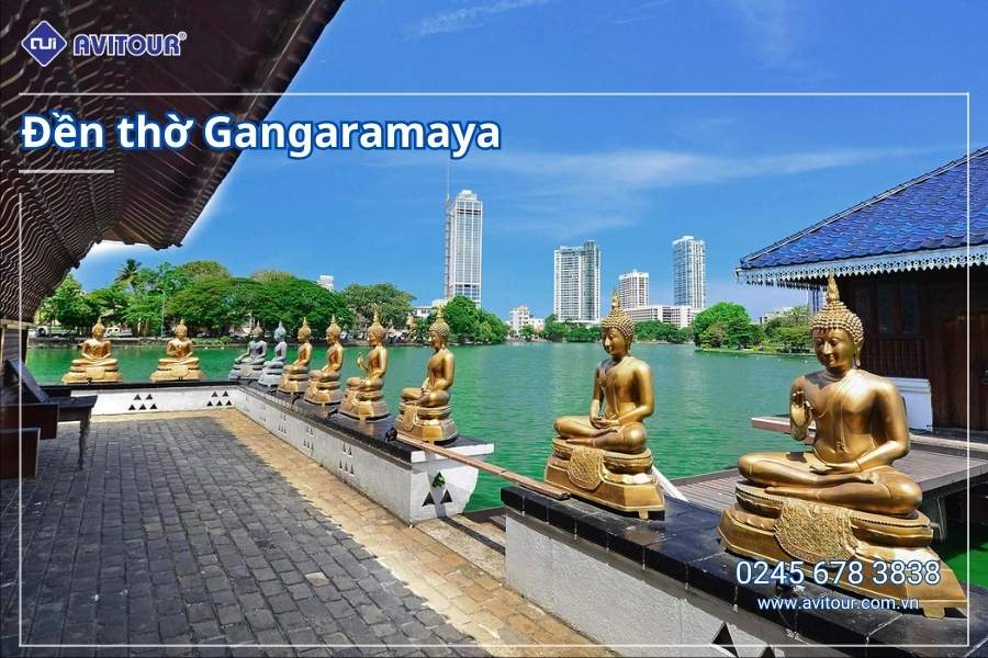 Du lịch Sri Lanka: Khám phá hòn ngọc Ấn Độ Dương 2026