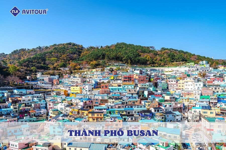 Du lịch thành phố Busan và những trải nghiệm không thể bỏ lỡ