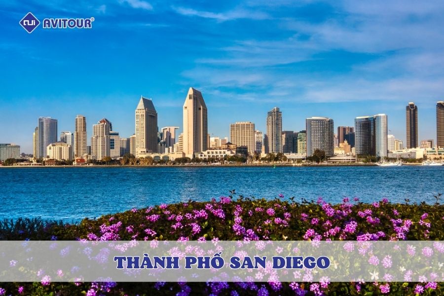 Du lịch thành phố San Diego - Điểm đến sôi động bên bờ Thái Bình Dương
