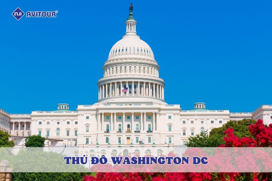 Du lịch thủ đô Washington DC và những điểm đến hấp dẫn không thể bỏ qua