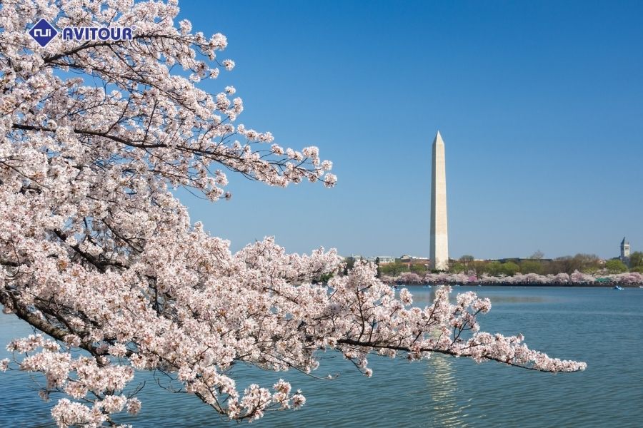 Du lịch thủ đô Washington DC và những điểm đến hấp dẫn không thể bỏ qua