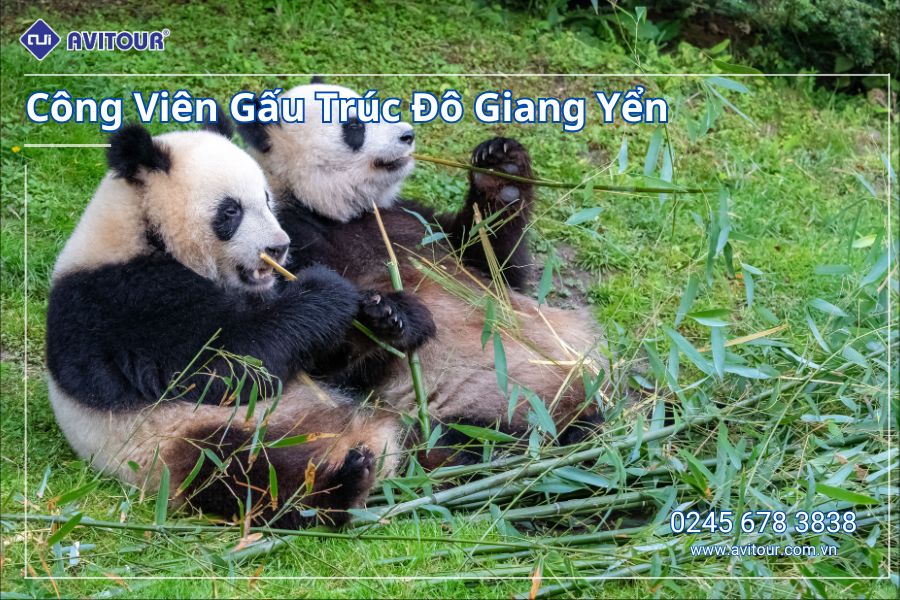 DU LỊCH TRÙNG KHÁNH - TỪ KHÍ KHẨU CỔ TRẤN - HỒNG NHAI ĐỘNG - CÔNG VIÊN GẤU TRÚC - TỊNH THỔ A BÁ - PHỐ CỔ CẨM LÝ - NGÕ RỘNG - NGÕ HẸP - THÀNH ĐÔ - CỬU TRẠI CÂU