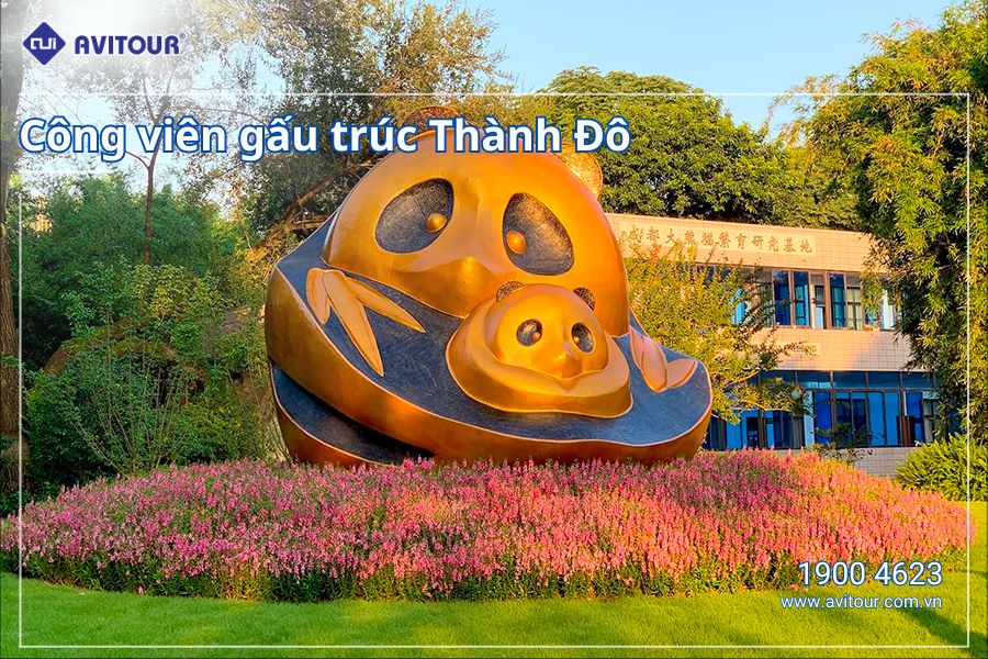 Du lịch Trung Quốc Mùa Anh Đào 2024: Công viên gấu trúc Thành Đô