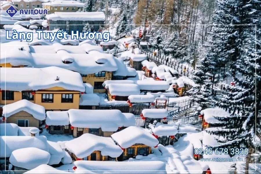 Du Lịch Trung Quốc (Tết Âm Lịch 2026): Tour Cáp Nhĩ Tân - Làng Tuyết Hương - Trượt Tuyết Trường Xuân