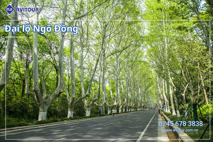 DU LỊCH TRUNG QUỐC: THƯỢNG HẢI - NAM KINH - HÀNG CHÂU - Ô TRẤN