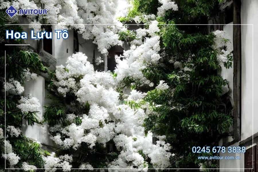 Du Lịch Trung Quốc: Tour Hà Nội - Phúc Châu - Tuyền Châu - Hạ Môn