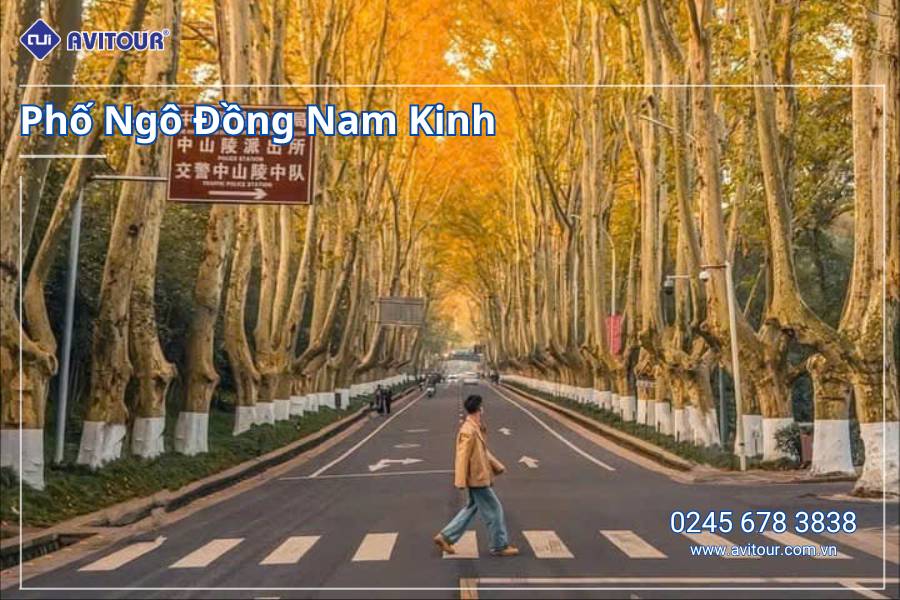 Du lịch Trung Quốc: Tour Thượng Hải - Nam Kinh - Tô Châu từ Hà Nội 2025