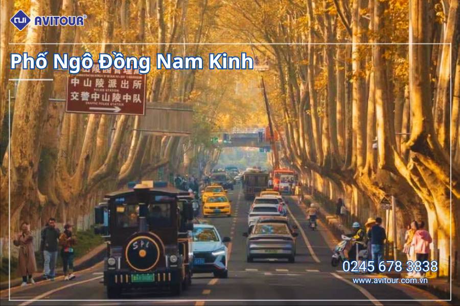 Du lịch Trung Quốc: Tour Thượng Hải - Nam Kinh - Tô Châu từ Hà Nội 2025