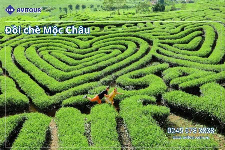 Du lịch Việt Nam lễ 2/9: Tour Mộc Châu khởi hành từ Hà Nội 2025