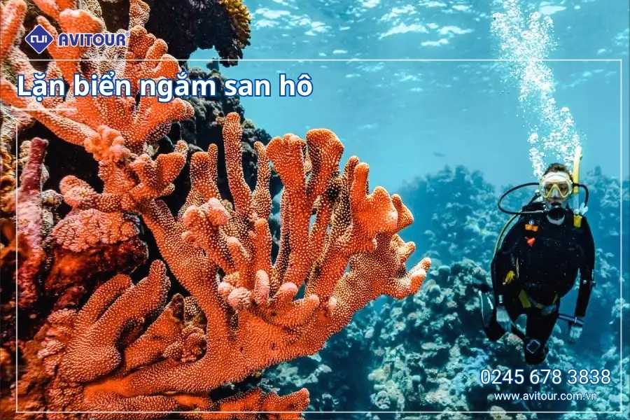 Du Lịch Việt Nam: Tour Đảo Ngọc Phú Quốc từ Hà Nội 2025