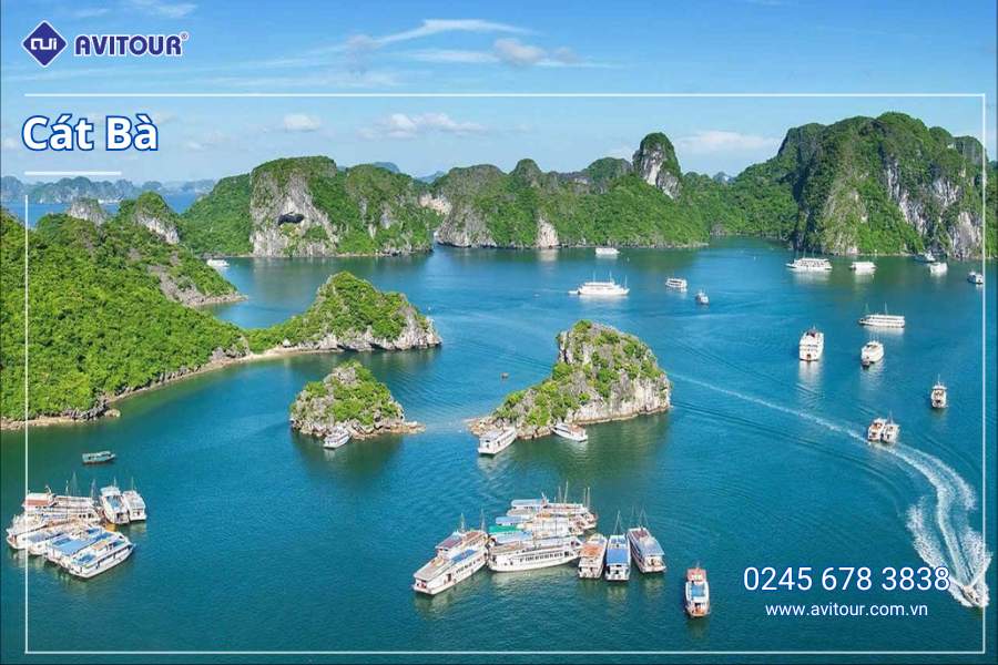 Du lịch Việt Nam: Tour Hải Phòng - Cát Bà từ Hà Nội 2025