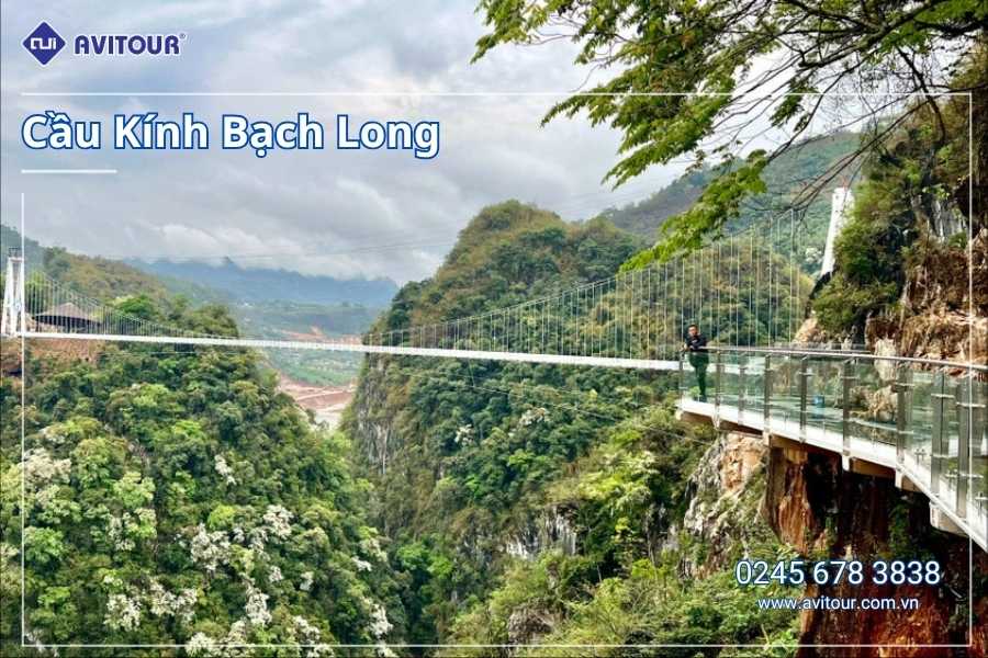 Du lịch Việt Nam: Tour Mộc Châu khởi hành từ Hà Nội 2025