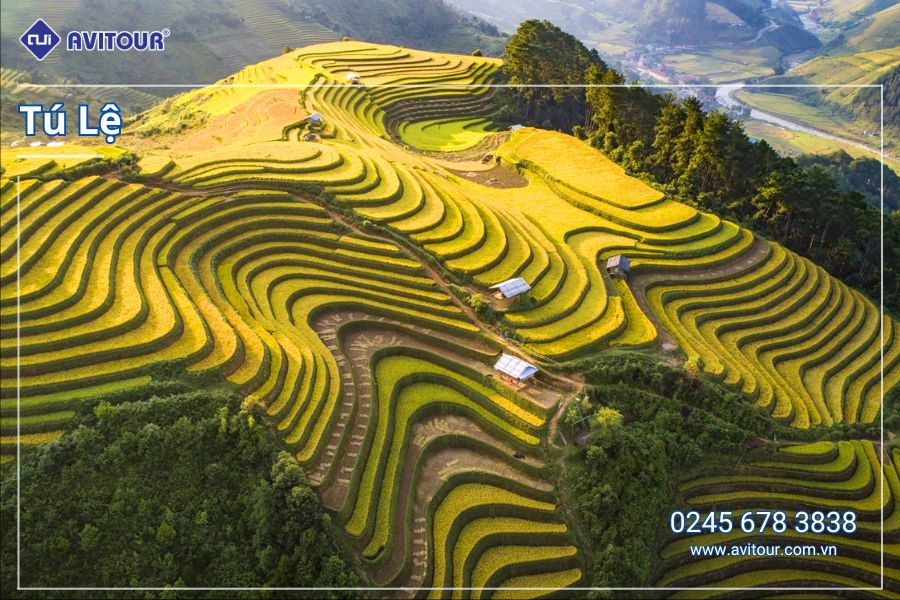 Du lịch Việt Nam: Tour Nghĩa Lộ - Tú Lệ Mù Cang Chải - Trạm Tấu từ Hà Nôi 2025