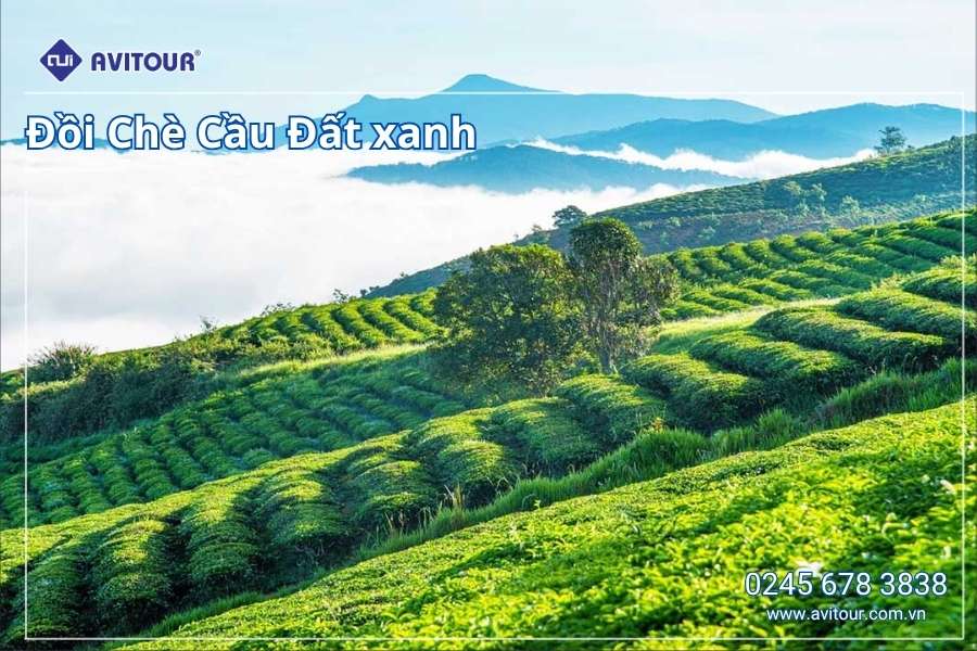 Du lịch Việt Nam: Tour Nha Trang - Đà Lạt từ Hà Nội 2025