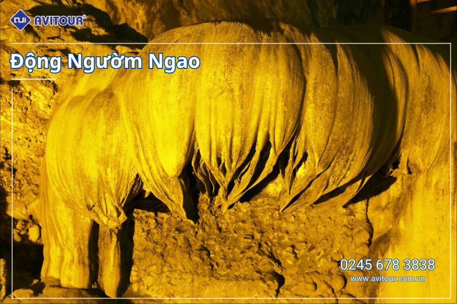 Du lịch Việt Nam: Tour Hà Giang (Tuyên Quang) - Cao Bằng - Bắc Kạn (Thái Nguyên) từ Hà Nội 2025