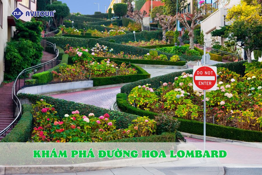 Đường Hoa Lombard - Khám phá con đường quyến rũ nhất San Francisco