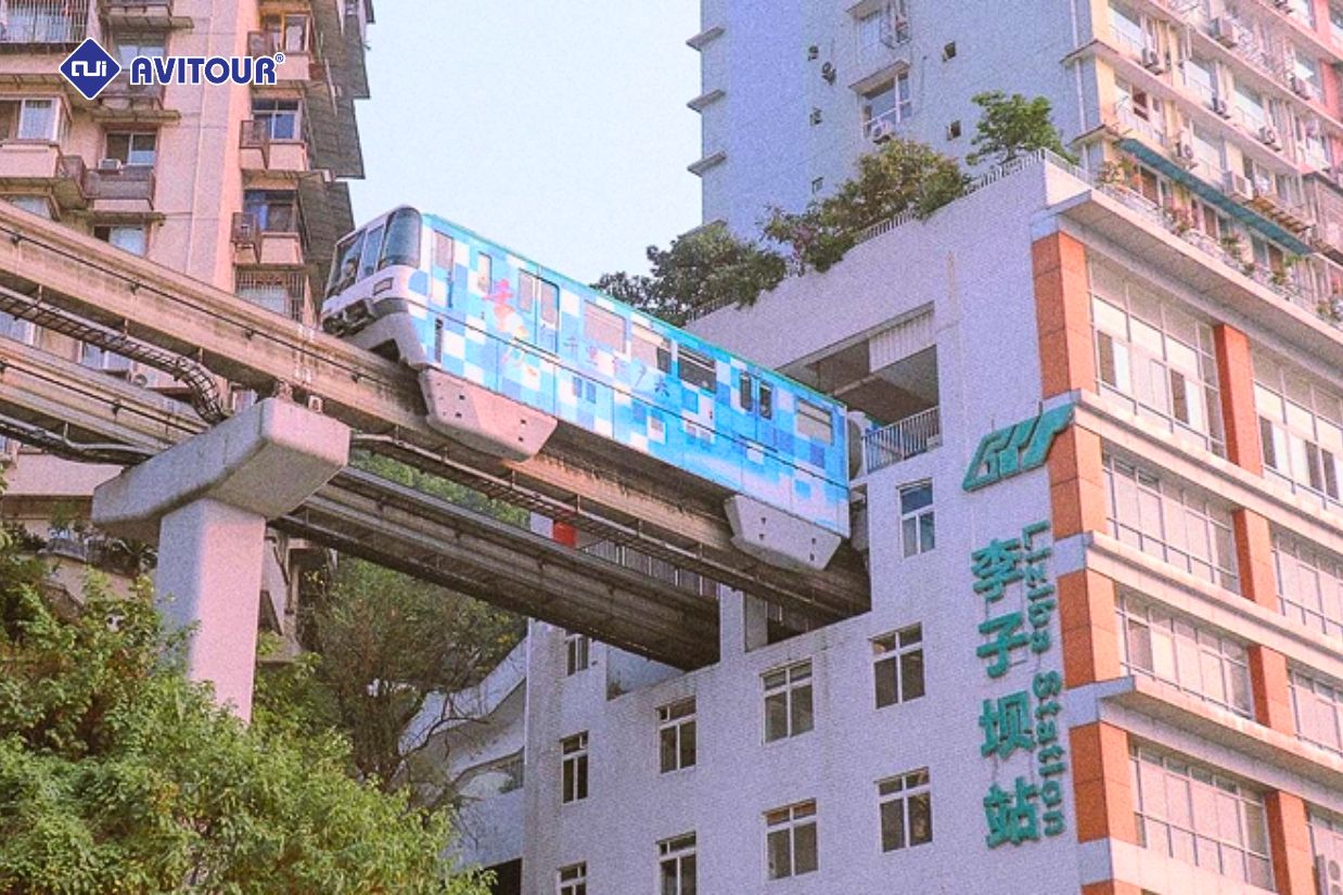 Ghé thăm công viên gấu trúc Trùng Khánh